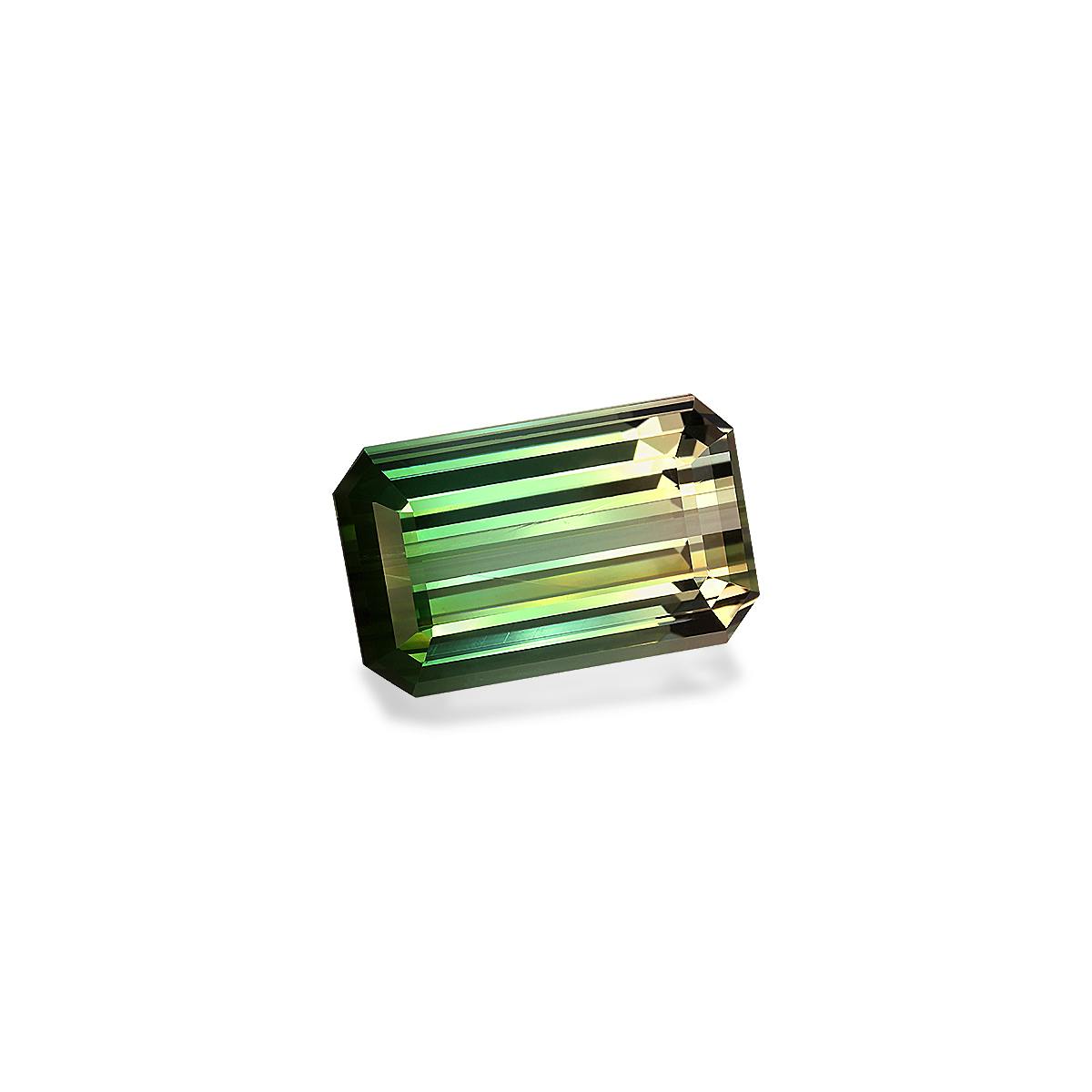Bi Colour Tourmaline 23.83 ct